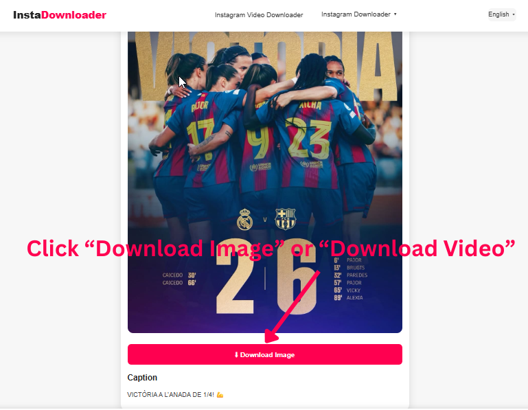 Download button